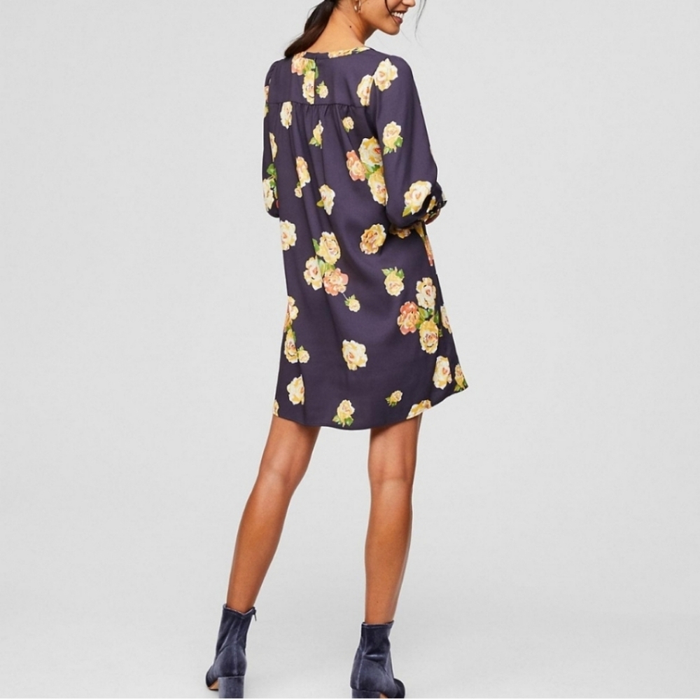 Ann Taylor Loft Peony Dress